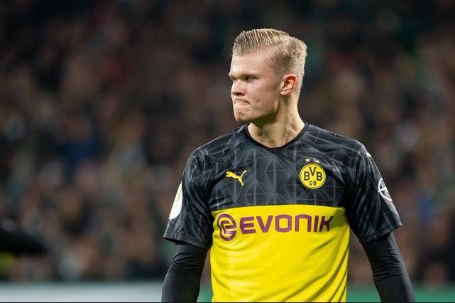 府在资源分 府在资源分