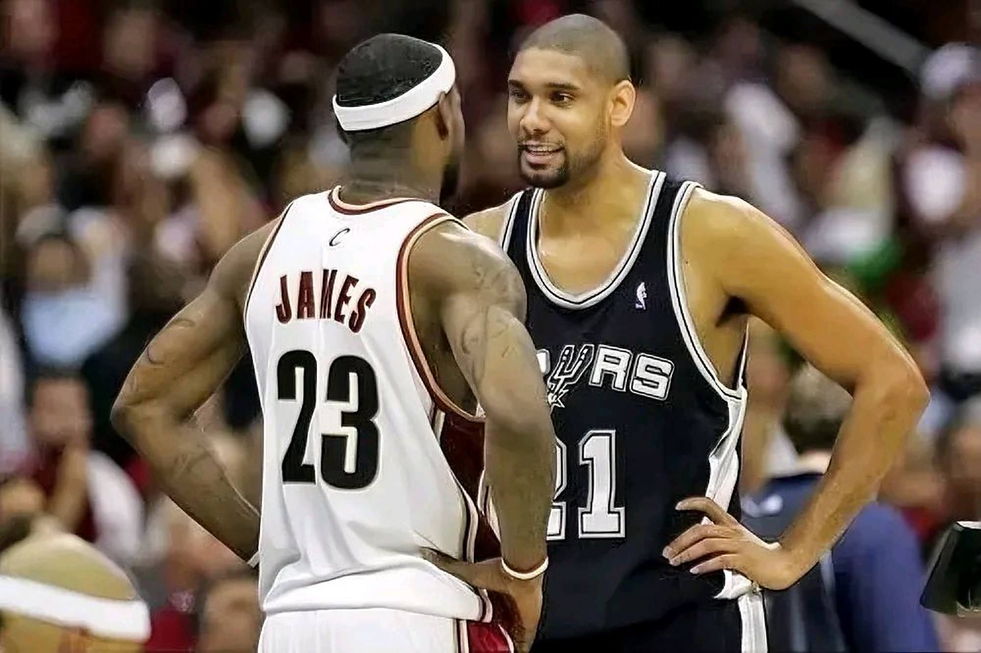 适应欧洲的 适应欧洲的